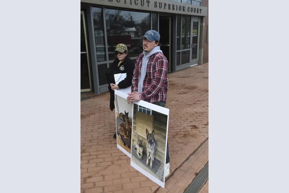 Two German Shepherd Dogs killed in Connecticut