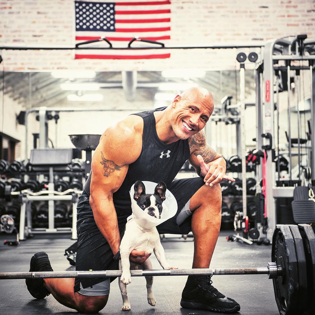 Dwayne "The Rock" Johnson and his French bulldog named Hobbs