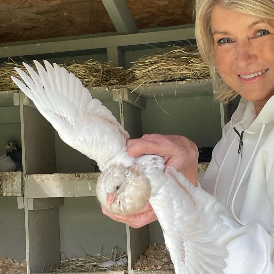 Martha Stewart and her Pigeons