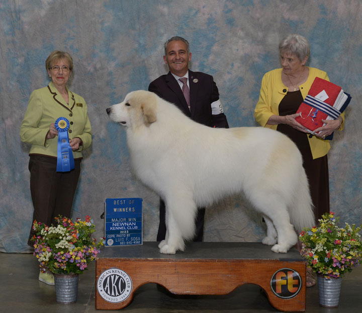 Newnan Kennel Club Dog Shows