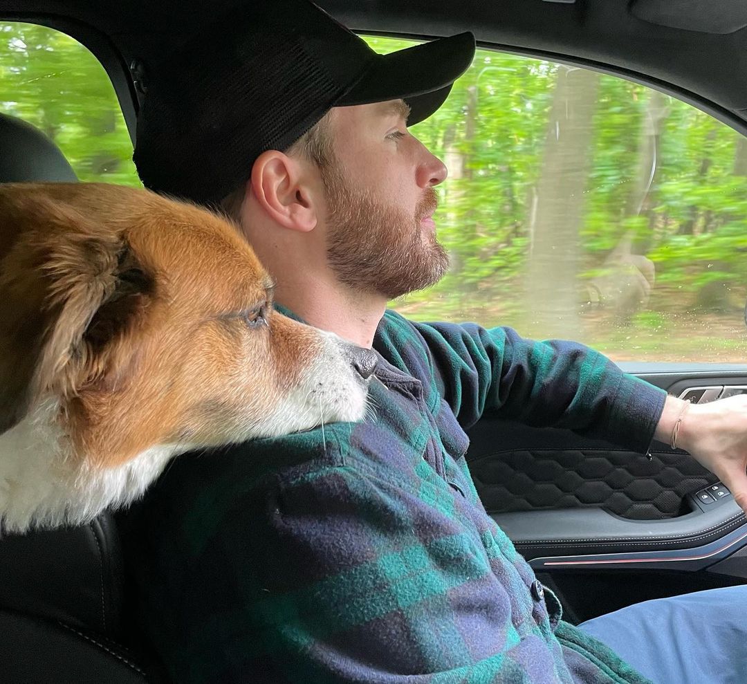 Chris Evans and his adopted dog Dodger