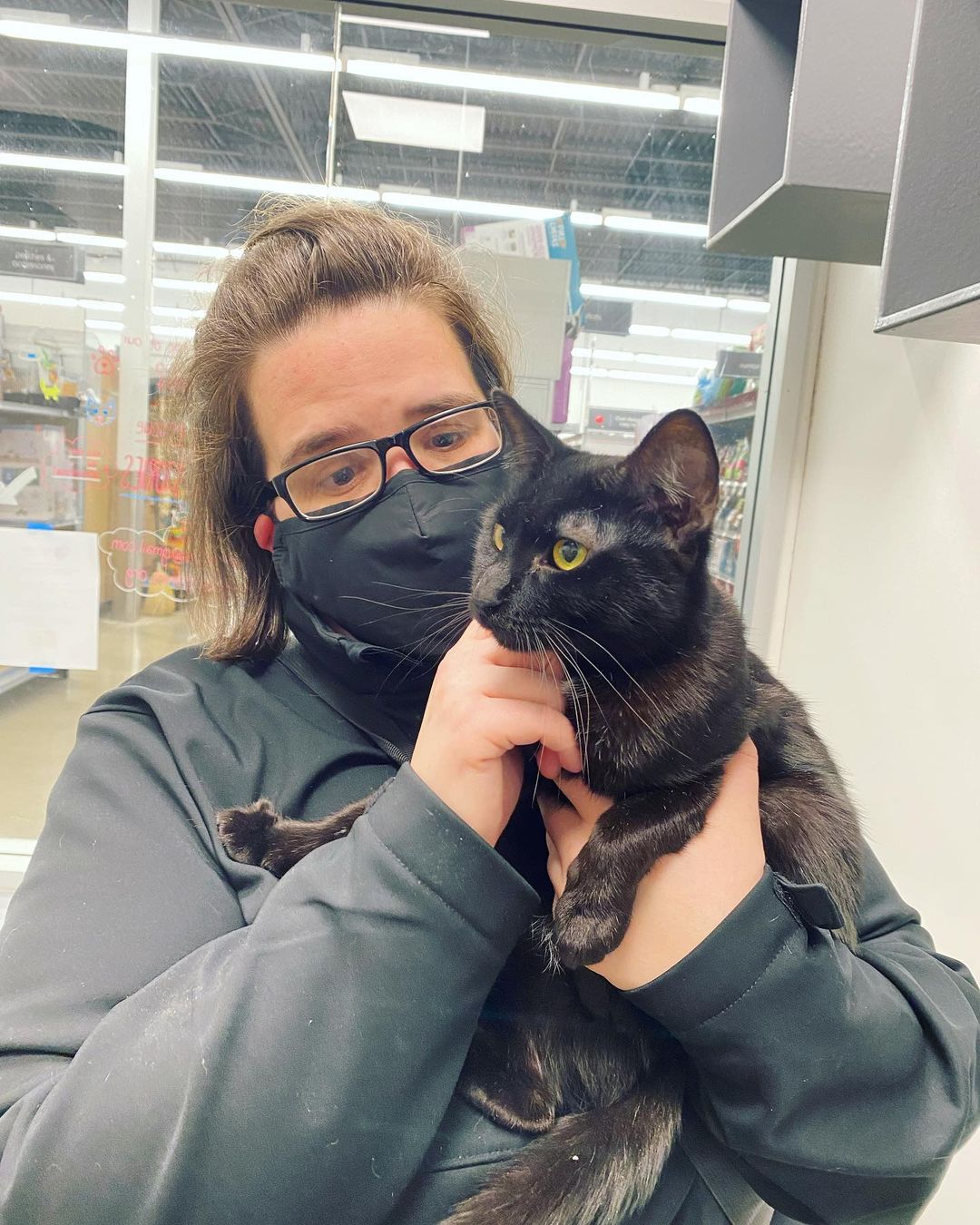 Sammy adopts Ellie the Cat