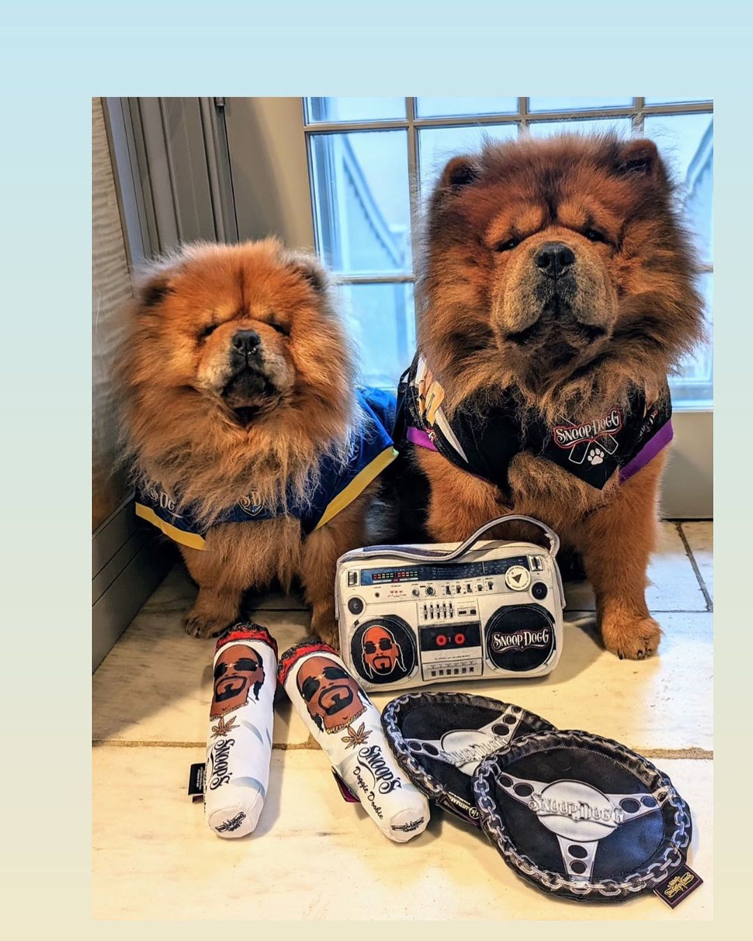 Martha Stewart's dogs, Emperor Han and Empress Qin