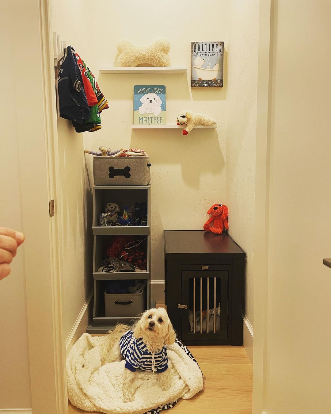 A small dog room
