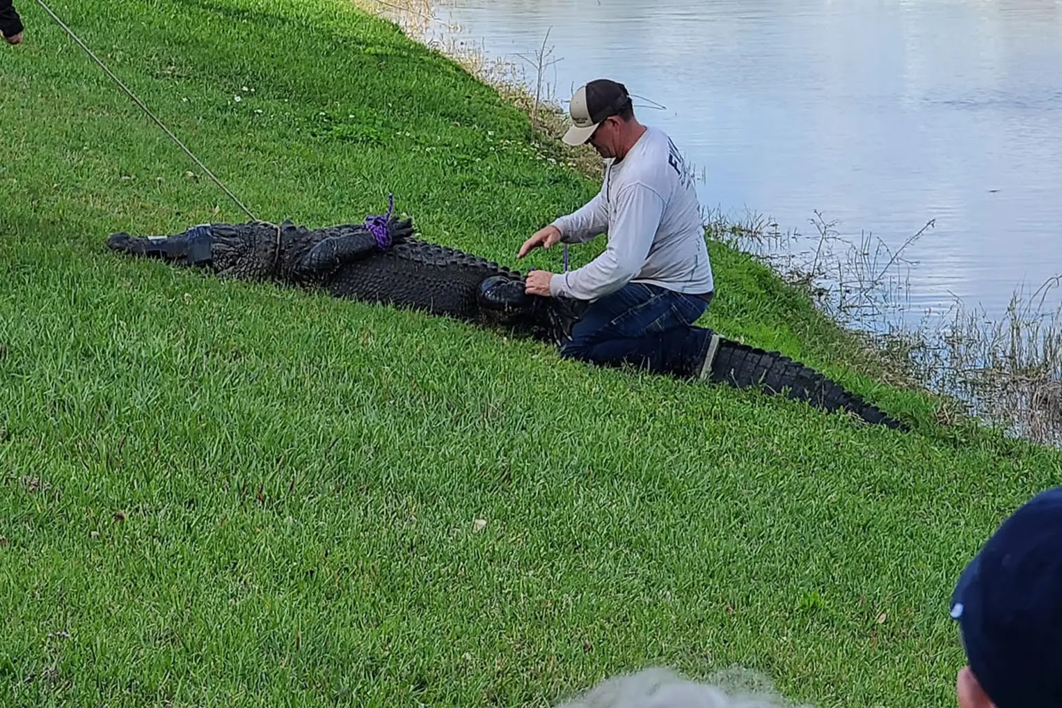 Real-Life Rainbow Bridge