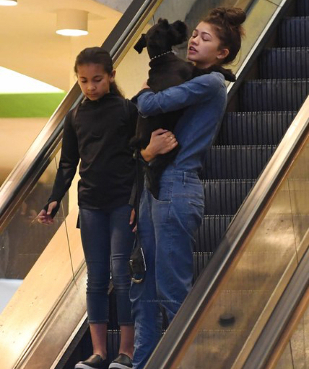 Zendaya and her dog goes shopping