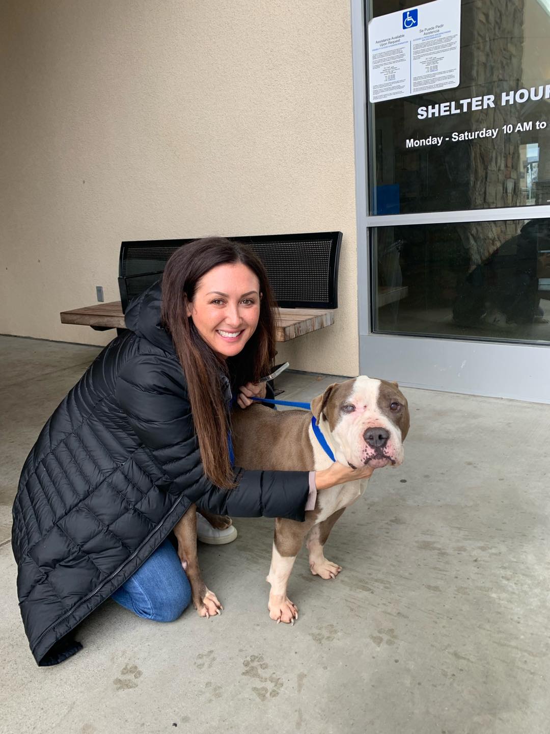 Ken the dog has found a forever home in orange county California