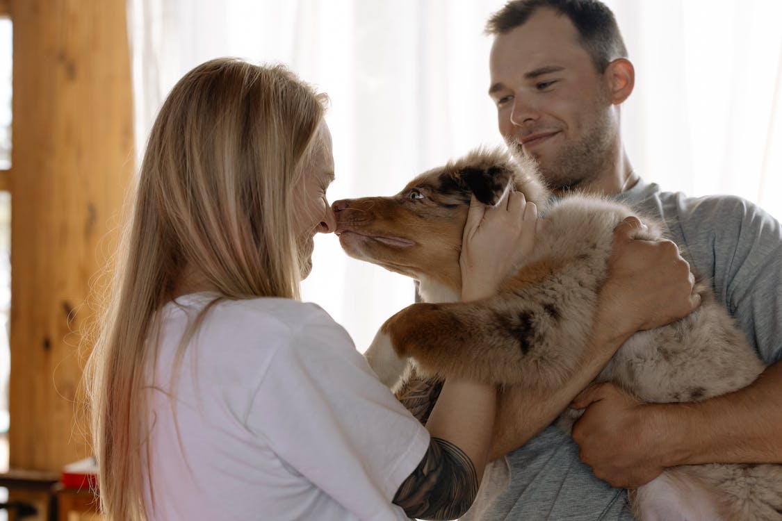 A man and his wife cuddling their Australian Shepherd