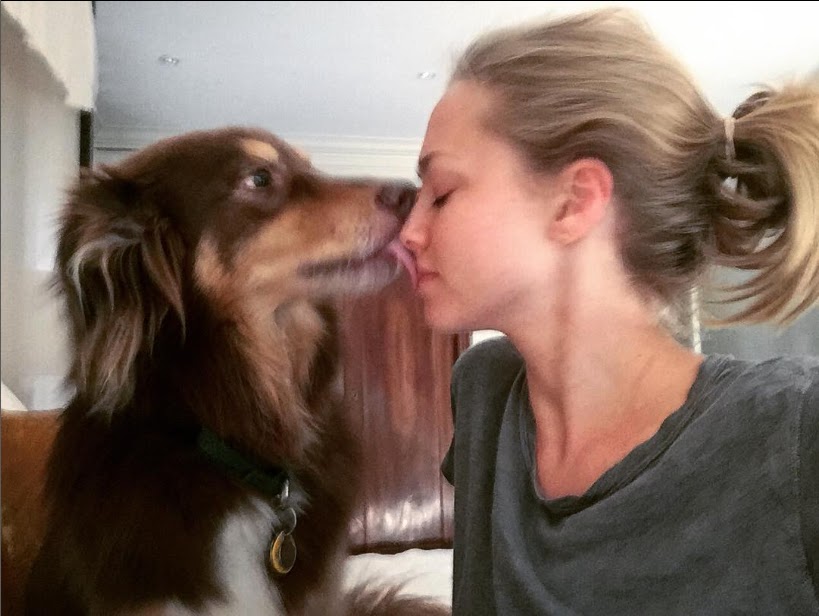 An Australian Shepherd licking its owner's face