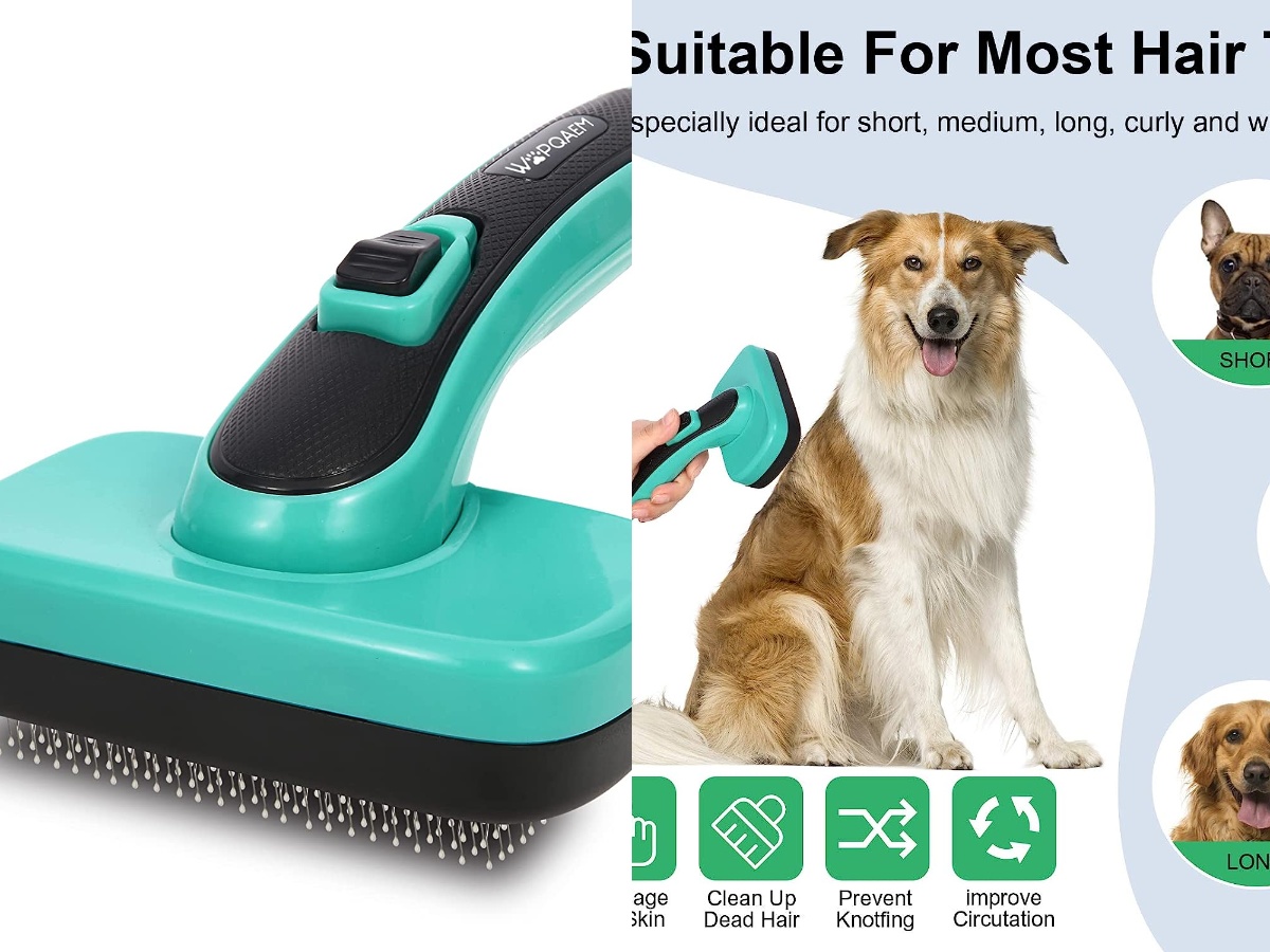 WOPQAEM's Slicker Brush for Corgis