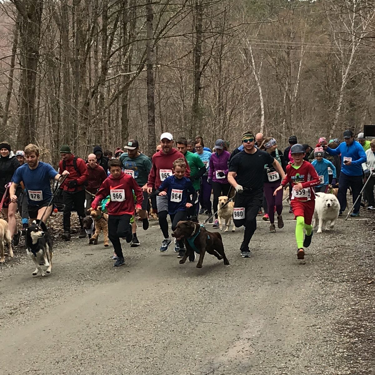 Waterbury, Vermont dog-friendly event