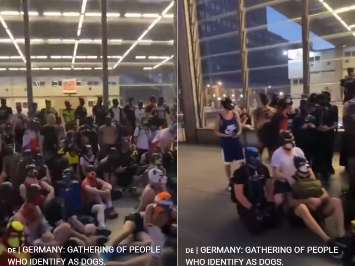 dog-identifying humans