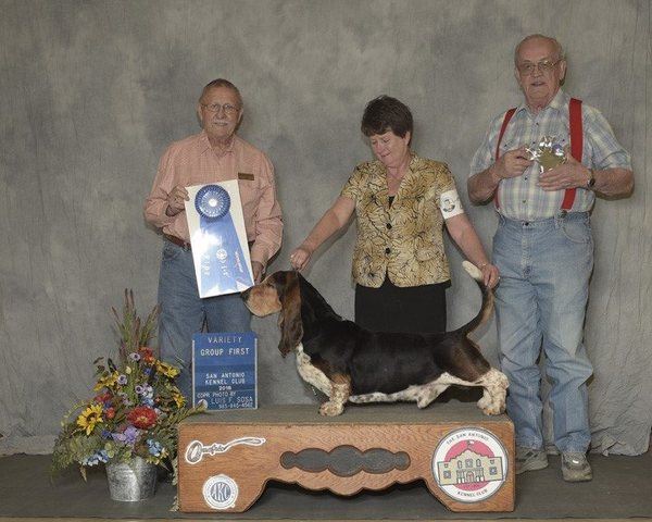 Hill Country Cluster of Dog Shows