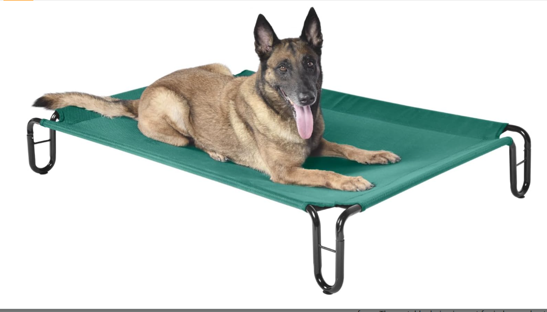 A GSD laying on an elevated dog bed