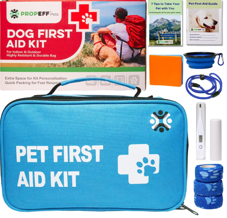 A Dog First Aid Kit