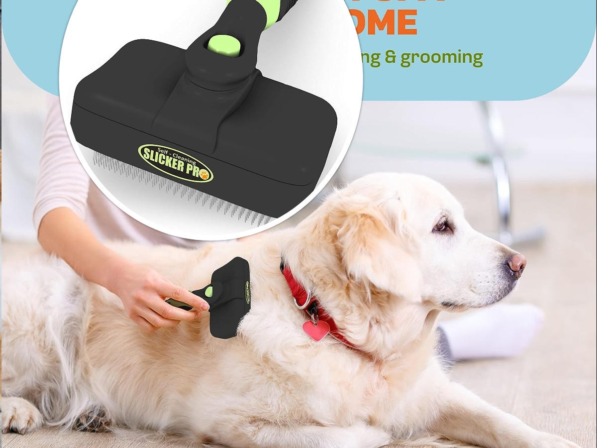 A woman brushing a Golden Retriever with a Self-Cleaning Slicker Brush
