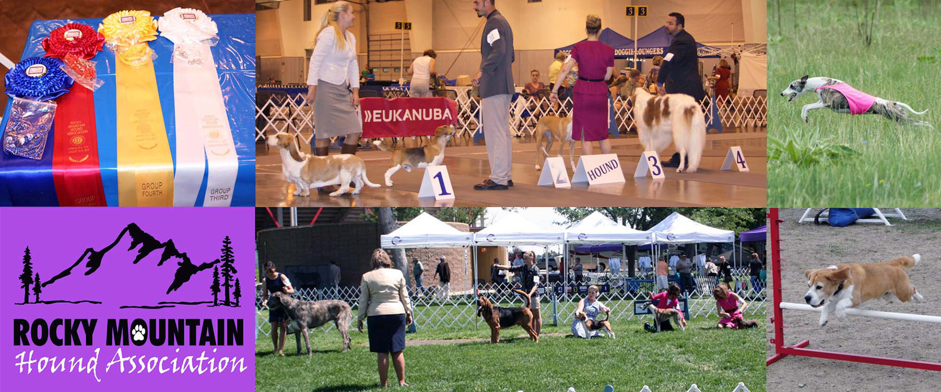 Rocky Mountain Hound Association Dog Shows