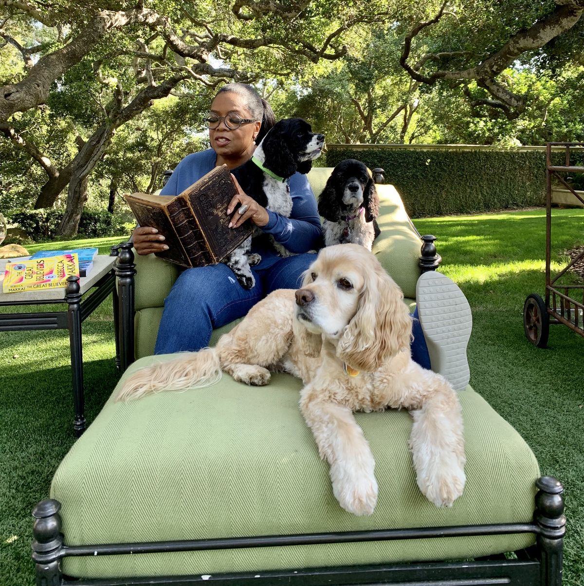 Oprah Winfrey and her Dogs, Sunny, Lauren, and Sadie