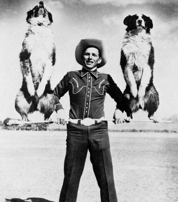 Jay Lister and his famous rodeo Australian Shepherds