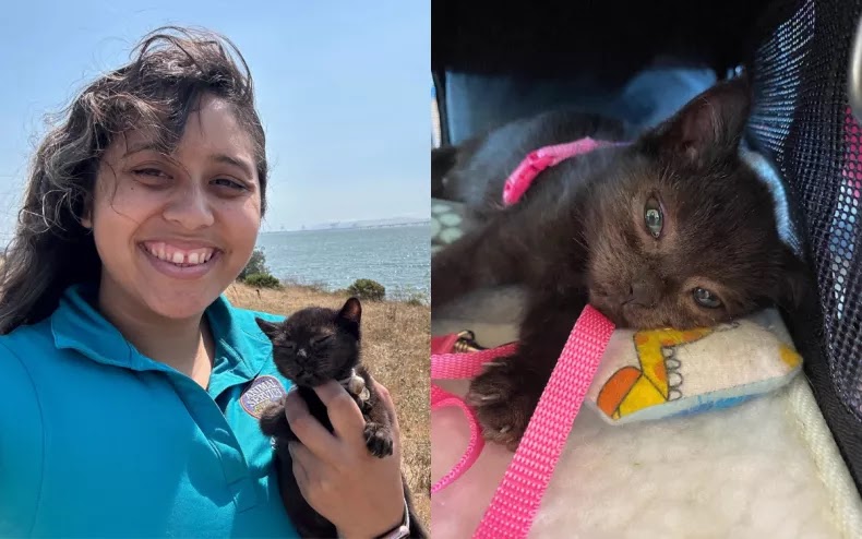 Koreena and Footloose the kitten