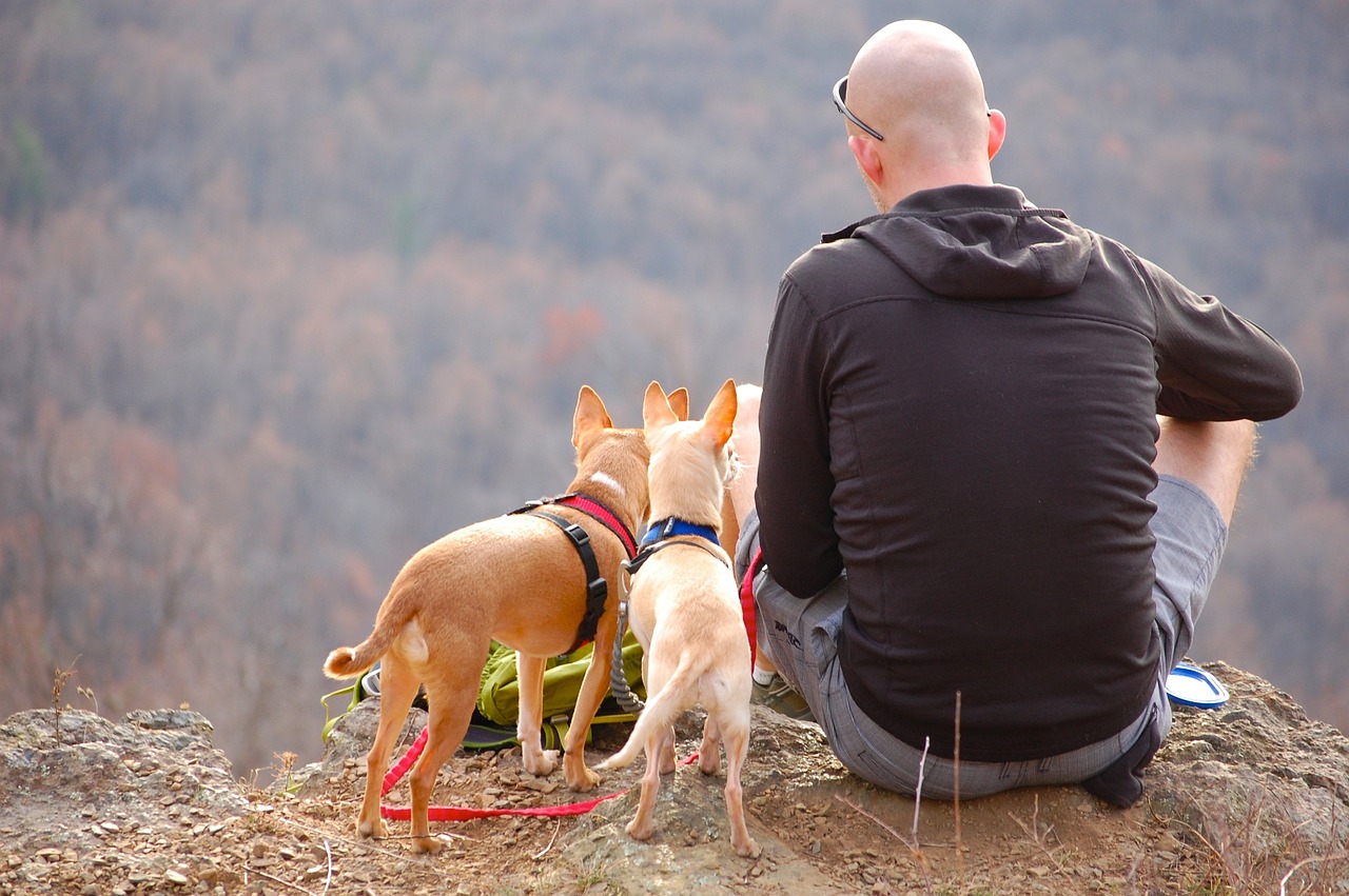 A pet sitter sitting beside two dogs