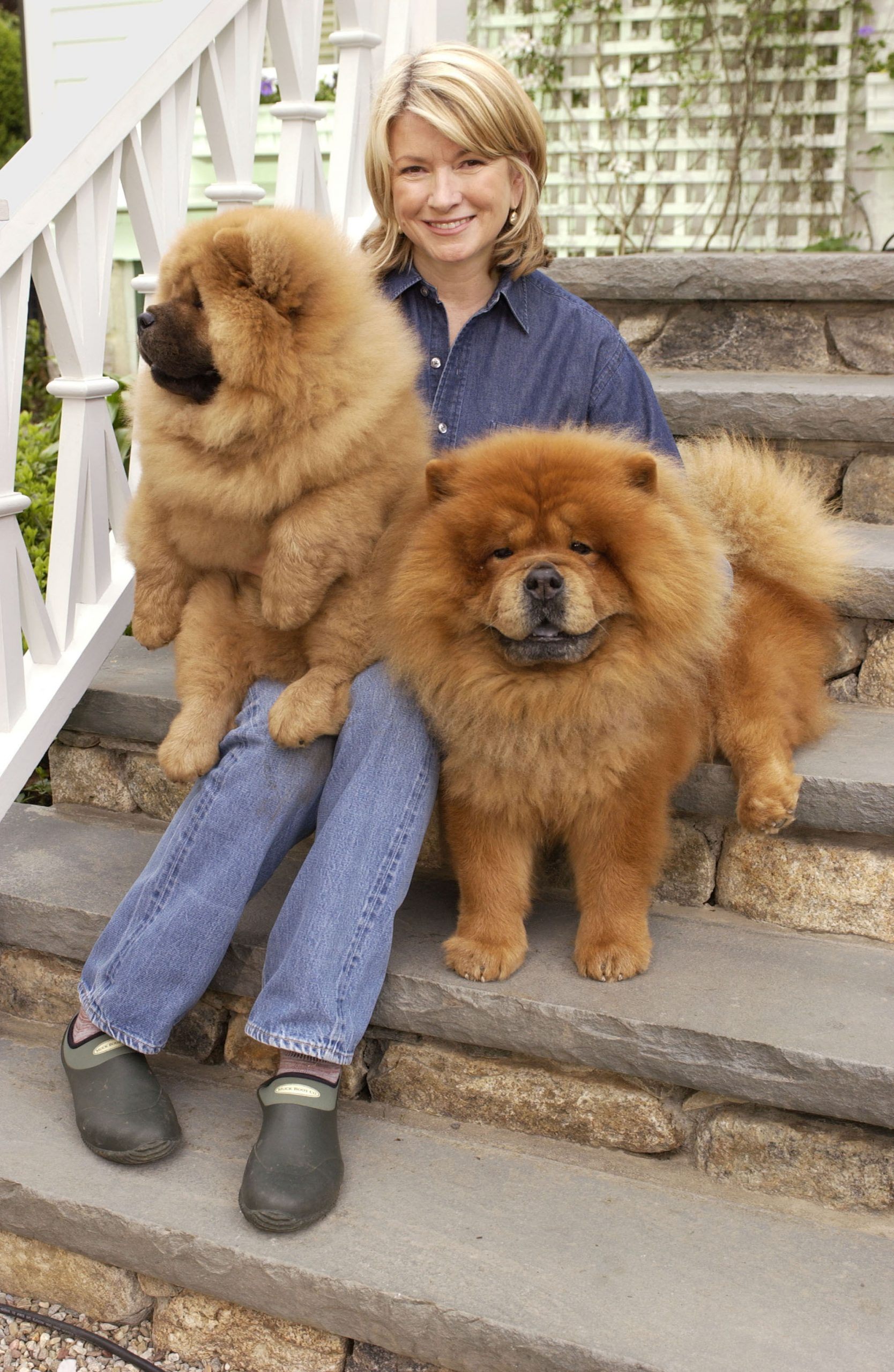 Martha Stewart with her dogs Chin Chin and Paw Paw