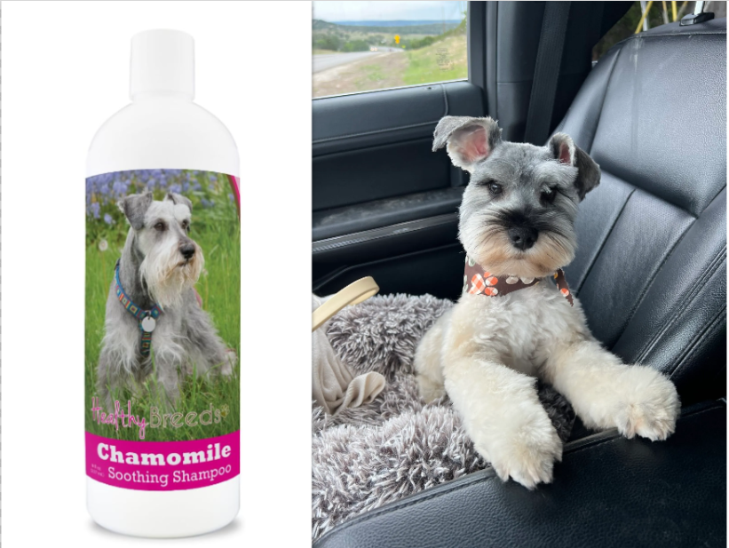 A dog shampoo and a Miniature Schnauzer