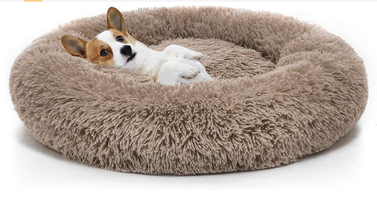 MIXJOY's Orthopedic Dog Bed for Miniature Schnauzers