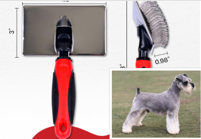 A Miniature Schnauzer and a dog brush