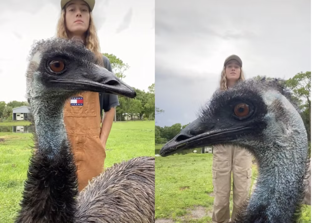A pet Emu and his owner