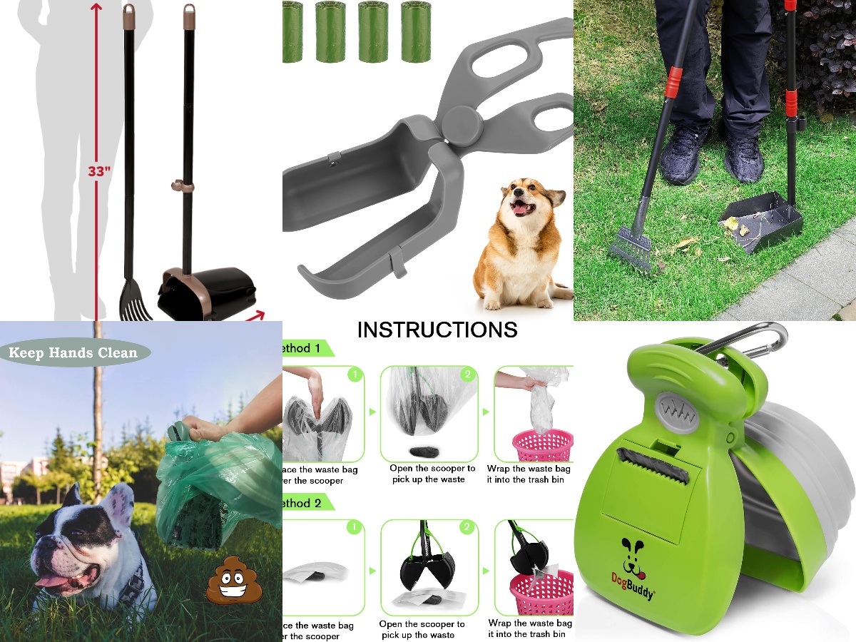 Best Dog Poop Scoopers In California