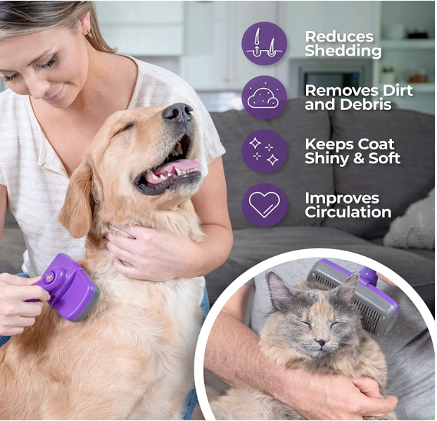 Hertzko Self Cleaning Slicker Brush for Long-haired Chihuahuas