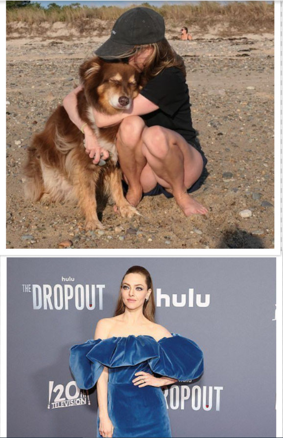 Sedona, the Australian Shepherd