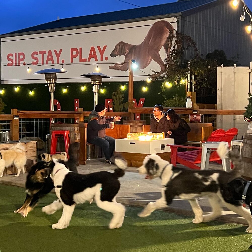 The Dog Yard Bar in Seattle, Washington