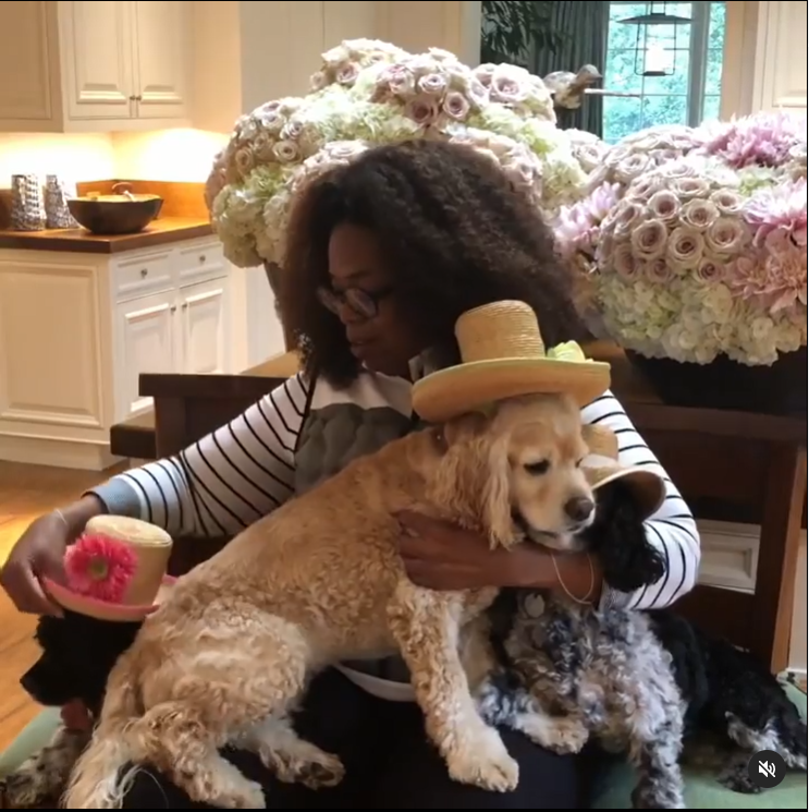 Oprah Winfrey and her Dogs, Sunny, Lauren, and Sadie