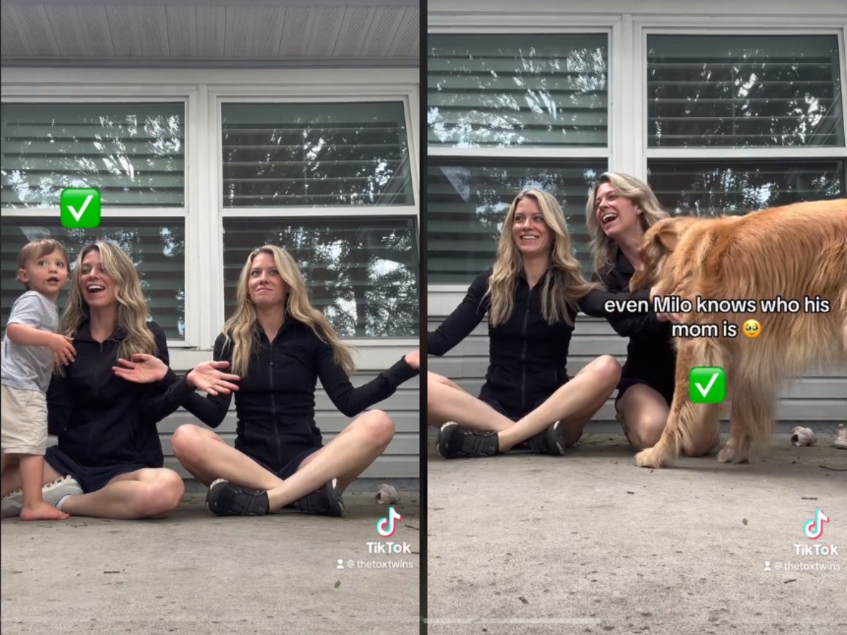 Identical Twins Testing Whether Their Toddlers and Dogs