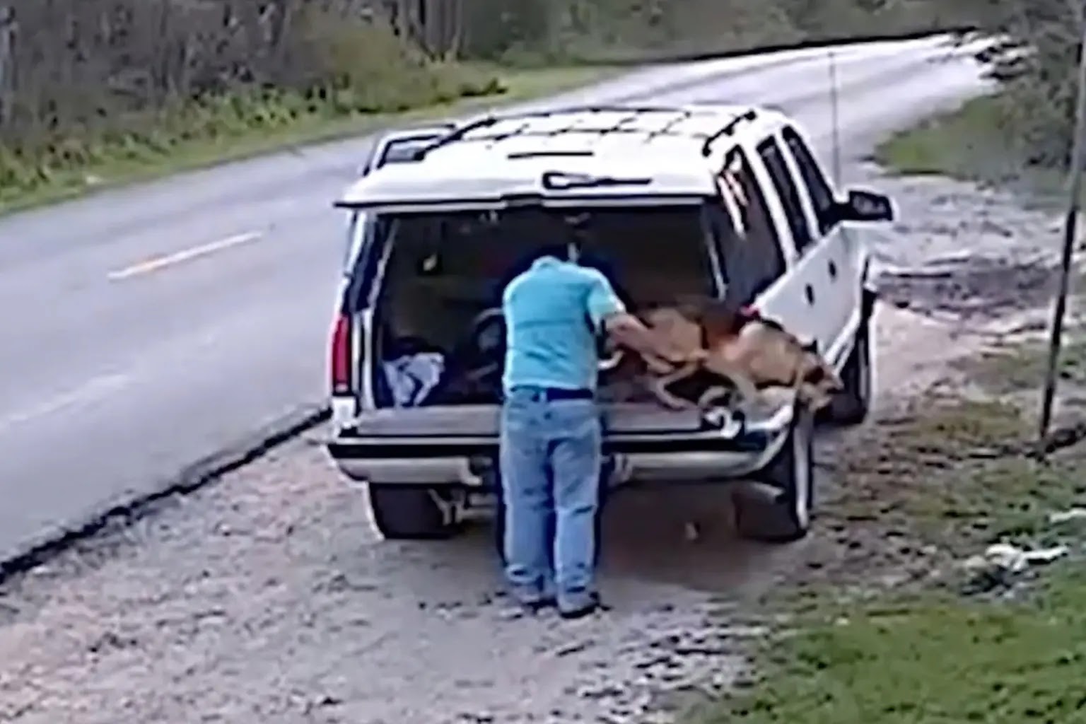 Man Caught on Camera Dumping Helpless Dog in Dallas
