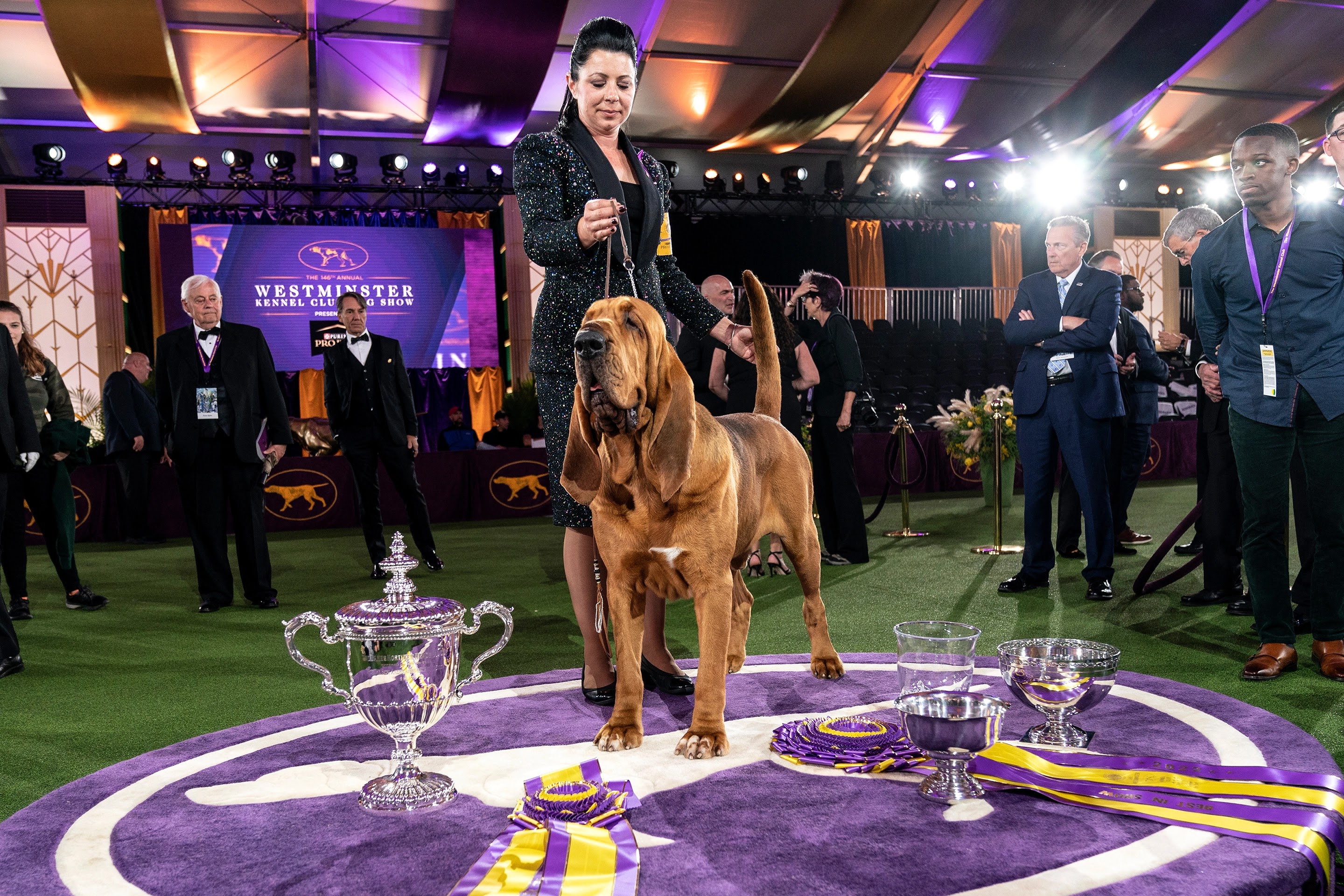 Westminster Kennel Club Dog Show