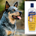 Top Three Brushes For Australian Cattle Dogs in The U.S.