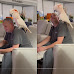 Cockatoo Gets Mad at Owner for Being on the Phone Instead of Paying Attention To Him